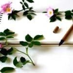 Skriv ett kärleksbrev