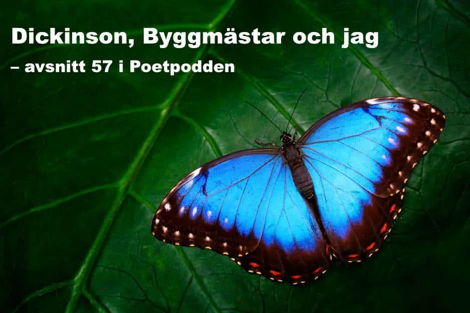 dickinson byggmästar och jag