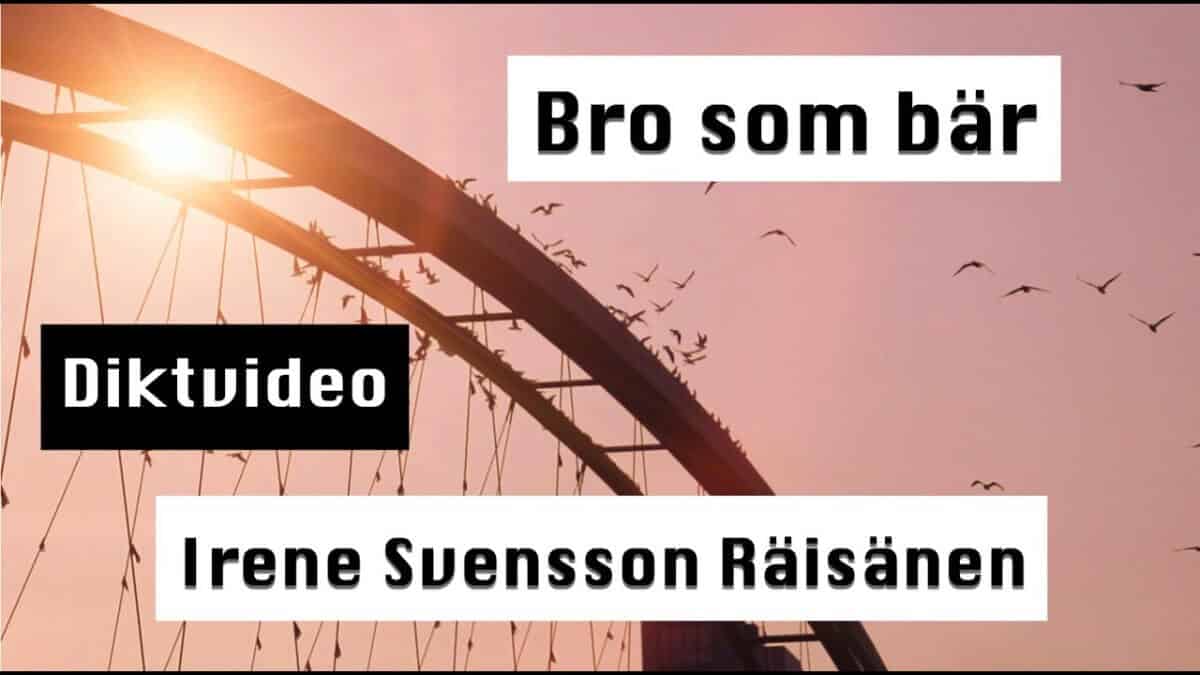 Bro som bär diktvideo