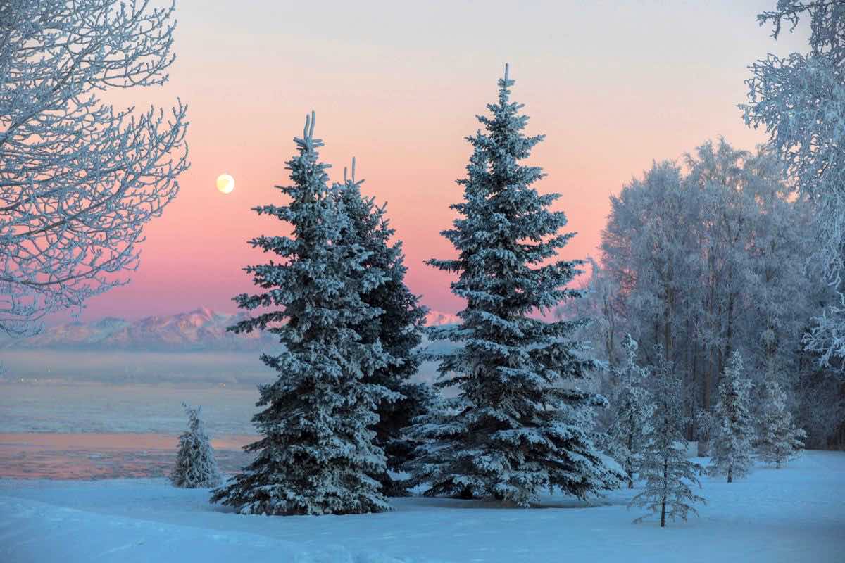 Skriv en januarikrönika