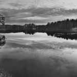 Midsommarljuset