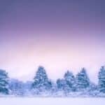 Gestalta månaden januari