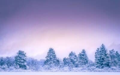 Gestalta månaden januari