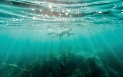 Under ytan