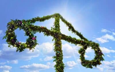 Midsommarmagi