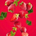 Sommarvila