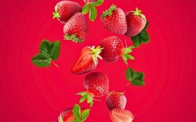 Sommarvila