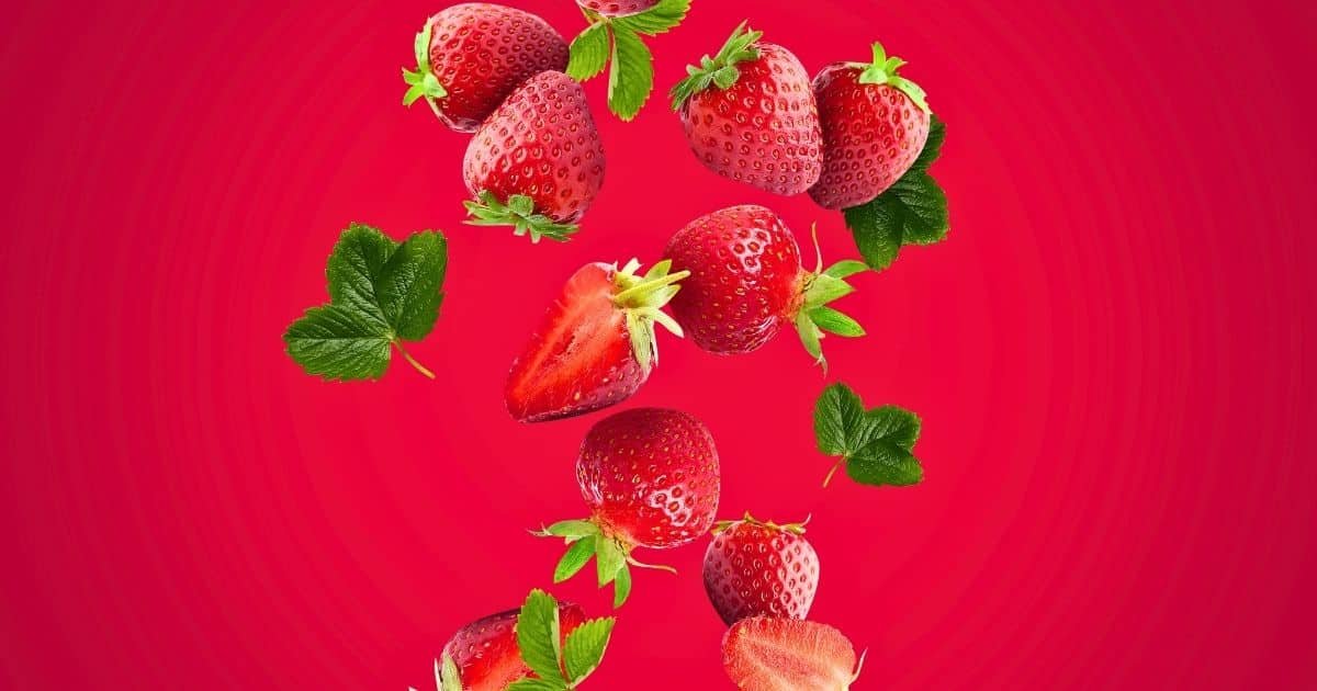 Sommarvila