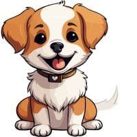 Hund