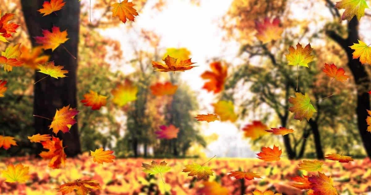 Låt oktober komma till tals