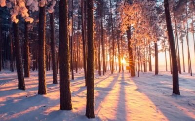 Skriv en haiku-serie