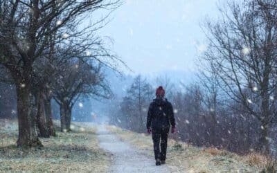 Beskriv en januaripromenad
