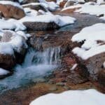 Skriv en haiku om våren