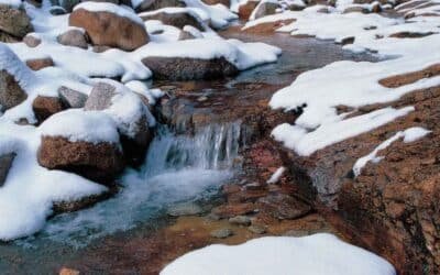 Skriv en haiku om våren
