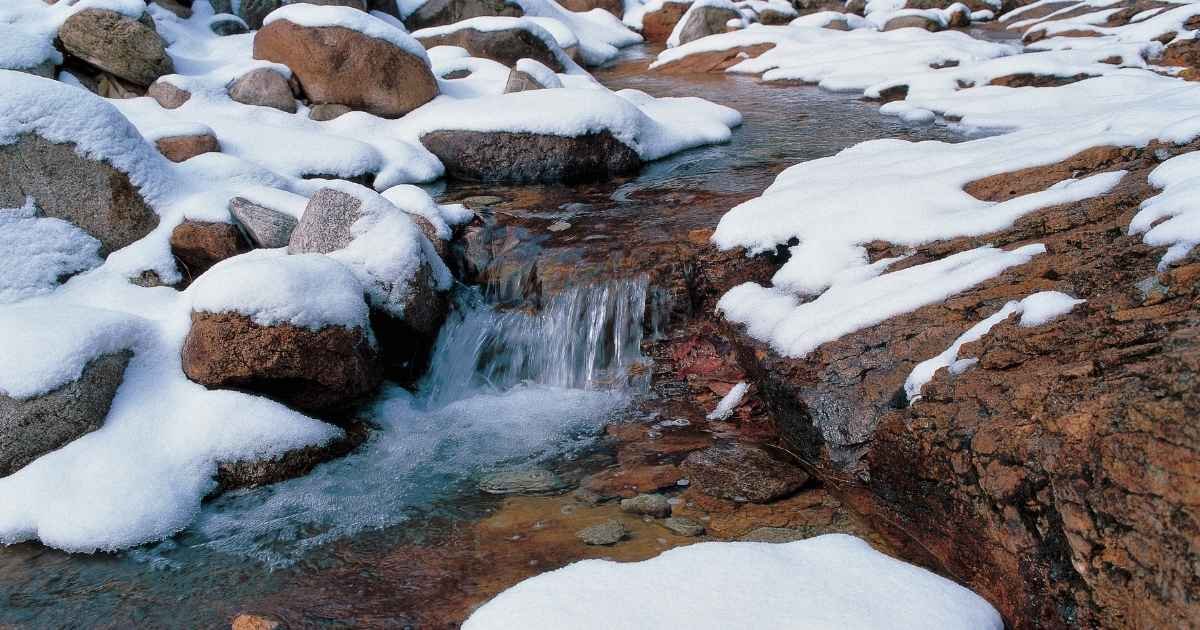 Skriv en haiku om våren