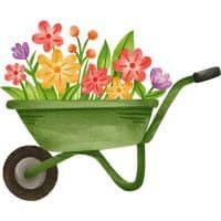 Skottkärra med blommor i