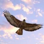 Plötsligt händer det