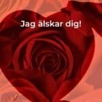 JAG ÄLSKAR DIG!