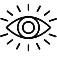Öga